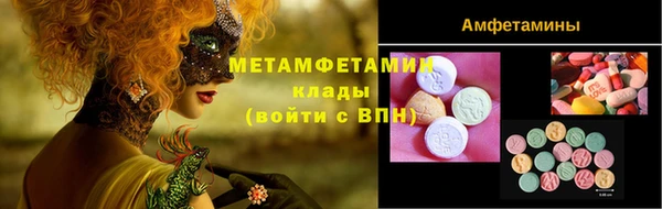 шишки Сосновый Бор